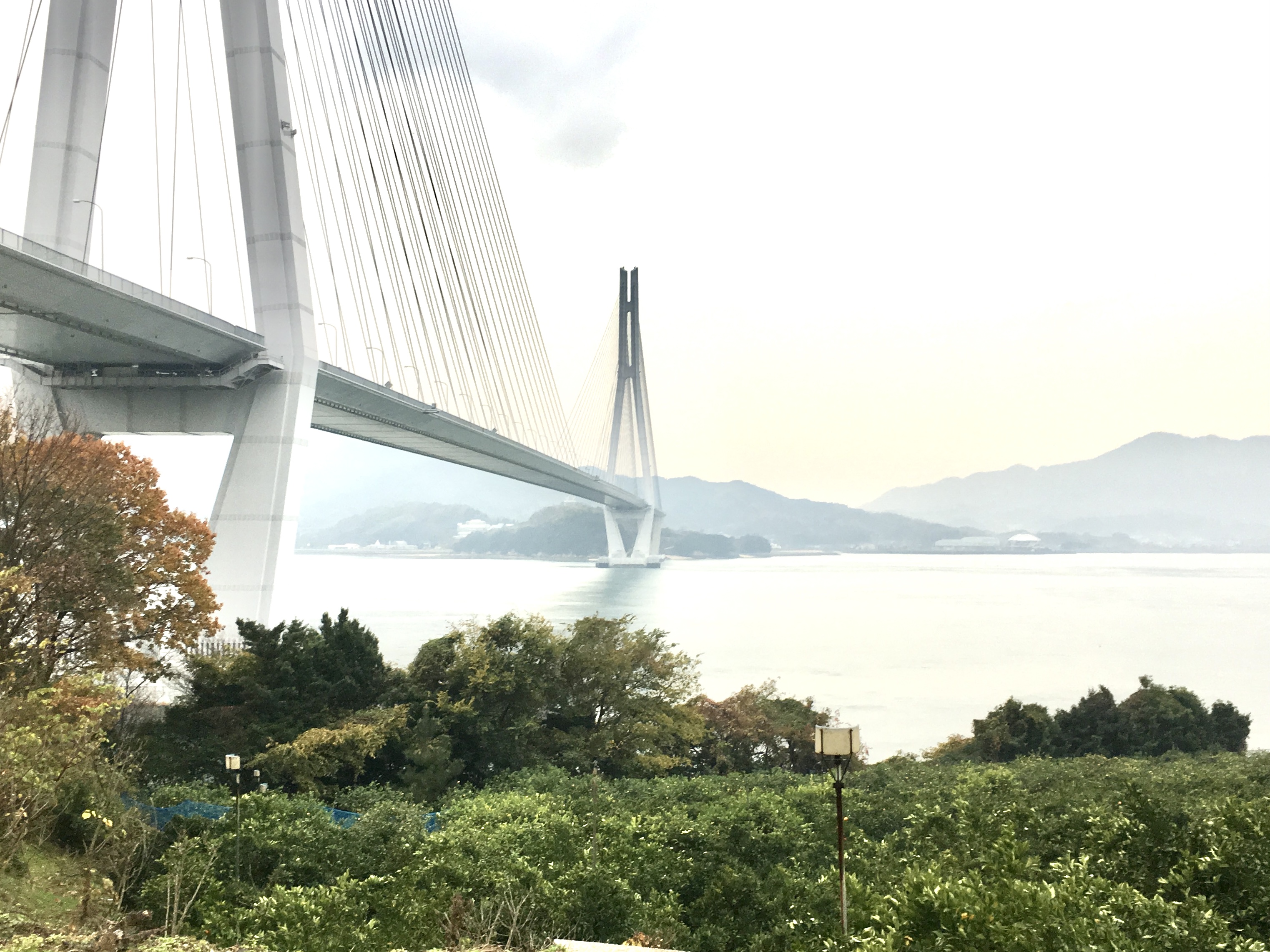 茶房こもん 夏の広島じまんアイスクリームセットns